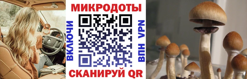 дарк нет Telegram Горнозаводск Псилоцибиновые грибы MAGIC MUSHROOMS